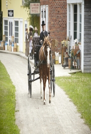 Murdoch Mysteries