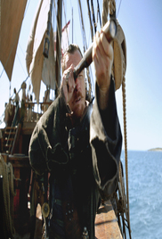 Black Sails