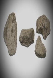 The Curse of Oak Island