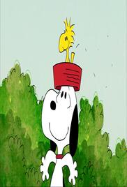 The Snoopy Show