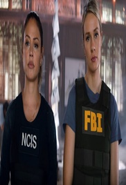 NCIS Hawaii