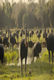 Prehistoric Planet 2022