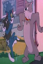 Tom And Jerry