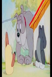 Tom And Jerry