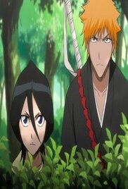 Bleach