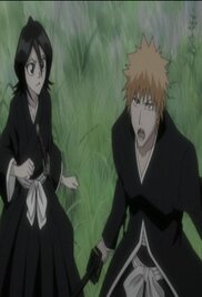 Bleach