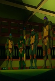 Teenage Mutant Ninja Turtles 2003