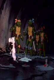 Teenage Mutant Ninja Turtles 1987