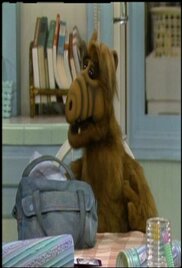 ALF