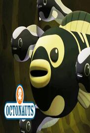 The Octonauts