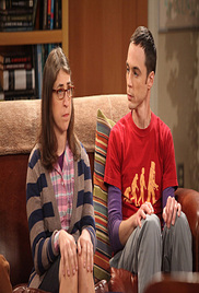 The Big Bang Theory