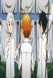 The Promised Neverland