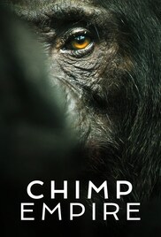 Chimp Empire