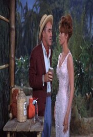 Gilligans Island