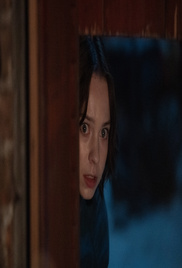 A Good Girls Guide To Murder