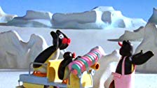 Pingu