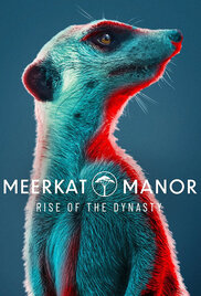 Meerkat Manor Rise of the Dynasty
